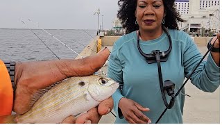 Saltwater fishing in Biloxi Mississippi [upl. by Ranice]