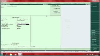 How to enter payroll entries in tally erp 9 [upl. by Lotsirhc]