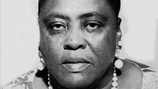 The Tragic RealLife Story Of Fannie Lou Hamer [upl. by Coy]