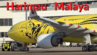 Harimau Malaya Above The Sky  Airbus A330300 Malaysia Airlines Livery  Malaysian Football [upl. by Jonah]