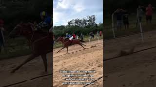 Corrida de Cavalos [upl. by Bartholemy]