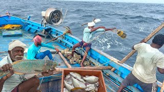 First Day Great Day  We Caught Lot of variety fishes in Deep Sea Fishing [upl. by Woolcott]