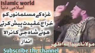 Molana Abdullah Mazar Sab In the favour of Palastine muslim Emotional speech [upl. by Inessa859]