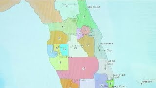 Florida Senate approves new congressional district map [upl. by Gurolinick]