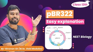 pBR322 Plasmid  Vectors  Biotechnology  NEET Biology  Class12 [upl. by Calida]