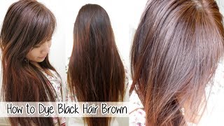 How to Dye Hair from Black to Brown Without Bleach l Loreal HiColor Vanilla Champagne [upl. by Aspa352]