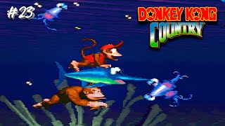 Donkey Kong Country SNES Gameplay ep23 ㅡ Croctopus Chase Gorilla Glacier [upl. by Assylem]