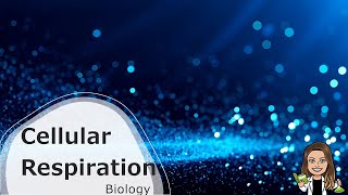 Biology Cellular Respiration Ch 9 [upl. by Ahsilek91]