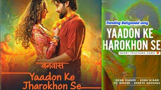 Best Of Sonu Nigam Shreya Ghoshal  Yado Ke jharokhon se  Vanvaas  mithoon  Stm Shashi Music [upl. by Selwin]