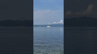 Watching ferries passes by 🛥🚢 viralvideo seasidelife seasidebeauty shorts short viralvideo [upl. by Treacy]