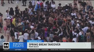 Spring Breakers arrive in South Florida [upl. by Stacee678]