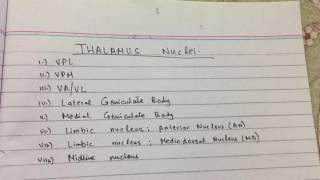 Thalamus Nuclei  Neuroscience  USMLE STEP 1  Made Ridiculously Simple with Mnemoic [upl. by Marlee]