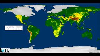 The Last Glacial Cycle [upl. by Zel]