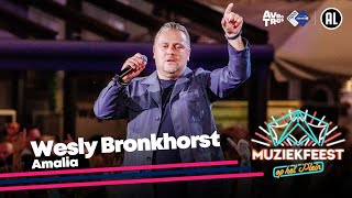 Wesly Bronkhorst  Amalia • Muziekfeest op het Plein 2023  Sterren NL [upl. by Lilybelle]