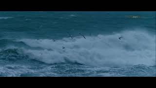 Storm op de Waddenzee  Bijzondere WAD fragmenten 10 [upl. by Eleanora]