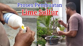 Proses Pembuatan Lime Sulfur [upl. by Eelrac]