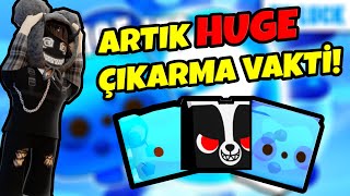 BU GÜNCELLEME BİTMEDEN HUGE ÇIKARIN  Pets Go [upl. by Dyol]