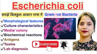 Escherichia coli in Hindi  Lab diagnosis  Pathogenicity  MLT  Nursing  Pharmacy [upl. by Ratha855]