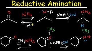 Reductive Amination of Ketones amp Aldehydes With NaBH3CN [upl. by Emili]