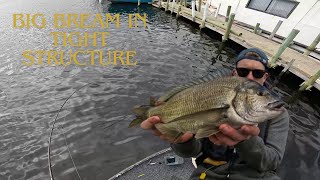 Bream Fishing in TIGHT STRUCTURE  Derwent River Bream Fishing [upl. by Gerladina]