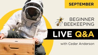 Beginner beekeeper QampA [upl. by Rehpitsirhc]