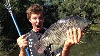 EP 1  SPEARFISHING TILAPIA  Catch n Cook  And TURTLE CATCH  TDK [upl. by Purdy]