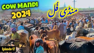 Peshawar ki Maweshi Mandi Full Hogayi 🥵  Nasirpur Kala Mandi Gt road 2024 updates  Epi17 [upl. by Venus846]