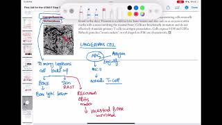 langerhans cell histiocytosis haematology 92 First Aid USMLE Step 1 in UrduHindi [upl. by Ajssatan]