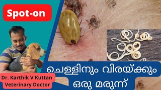 Ticks and fleas control in dogs malayalamDog itchingSpot onspoton dogpregnancy [upl. by Cock144]