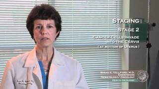 Uterine Cancer Staging 3 [upl. by Hasty]