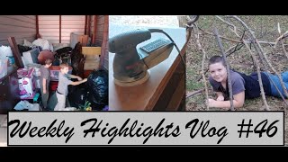 Weekly Highlights Vlog 46 of 2024  Grass Growing Back  Storage Auction [upl. by Gabi]