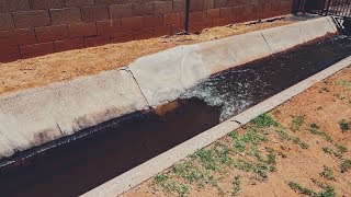 Flood Irrigation Day  amp how this watering method works [upl. by Ais416]