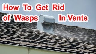 How To Get Rid of Wasps in Vent [upl. by Dacy]