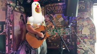 Key West LIVE Music at Captn Tonys SaloonThanksgiving 2024 [upl. by Eninahs]