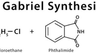 Method Of prepation of Amine by Gabriel phthalimide Synthesis [upl. by Doug]