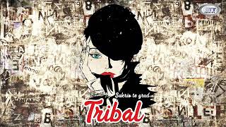 TRIBAL®  Razlog Official Audio [upl. by Atikram]