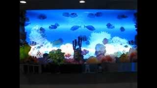 8ft Bubble Wall and 3d Animated Virtual Fish Tank [upl. by Rama114]