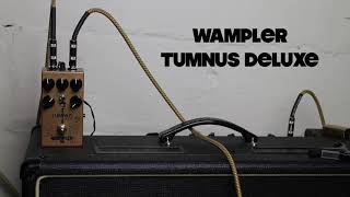 Wampler Tumnus Deluxe Demo [upl. by Aela]