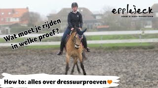 HOW TO alles over de dressuurproeven B tm Z  38  Epplejeck [upl. by Marin]