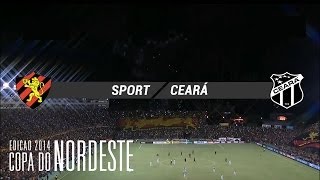 Gols  Sport 2 x 0 Ceará  Copa do Nordeste 2014  02042014 [upl. by Osnofledi484]