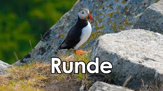 Runde  The Bird Island  Sunnmøre [upl. by Perrin]