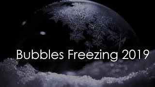 Bubbles Freezing 2019 [upl. by Loren]