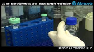 2D Gel Electrophoresis 11 Mass Sample Preparation [upl. by Sarita]