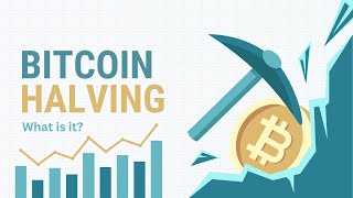 Bitcoin Halving  What is it [upl. by Bartholemy560]