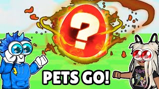 😱 PETS GO First Ever Update ROBLOX [upl. by Germain941]