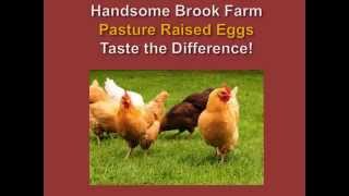 Handsome Brook Farm PASTURE RAISED Eggs [upl. by Aerdnu]