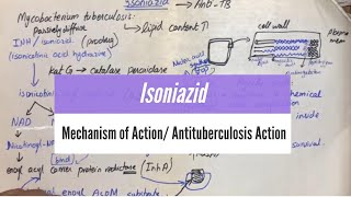 Isoniazid  Mechanism of Action  Antituberculosis Action UrduHindi [upl. by Ching]