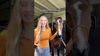 We NEED to stop humanising horse behaviour PART 1 horse horsemanship horses horsetrainer [upl. by Haines]