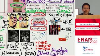 UROLOGÍA  PARTE II [upl. by Allx]