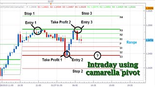 camarilla pivot points strategy  Intraday camarilla pivot point [upl. by Girardo]